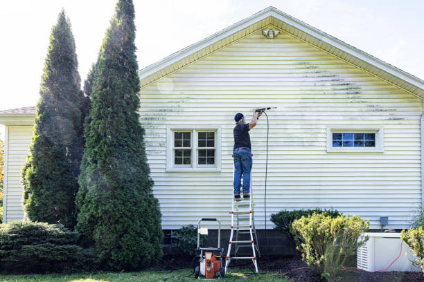 Best Roof Washing  in Fairchance, PA